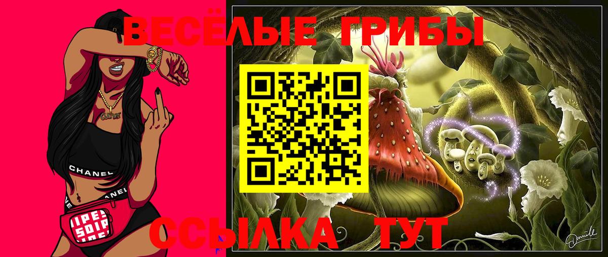 Псилоцибиновые грибы GOLDEN TEACHER Пыть-Ях